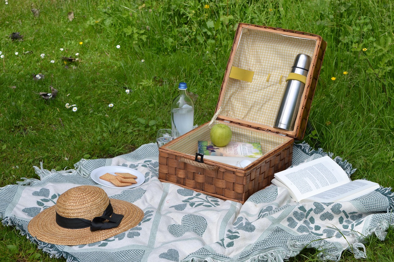 A picnic basket and blanket on the grass